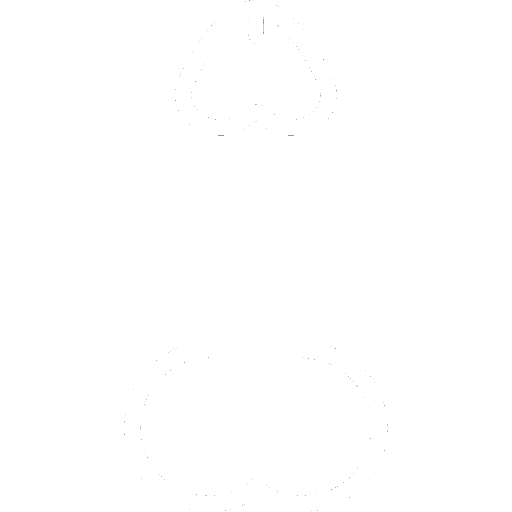 Penis