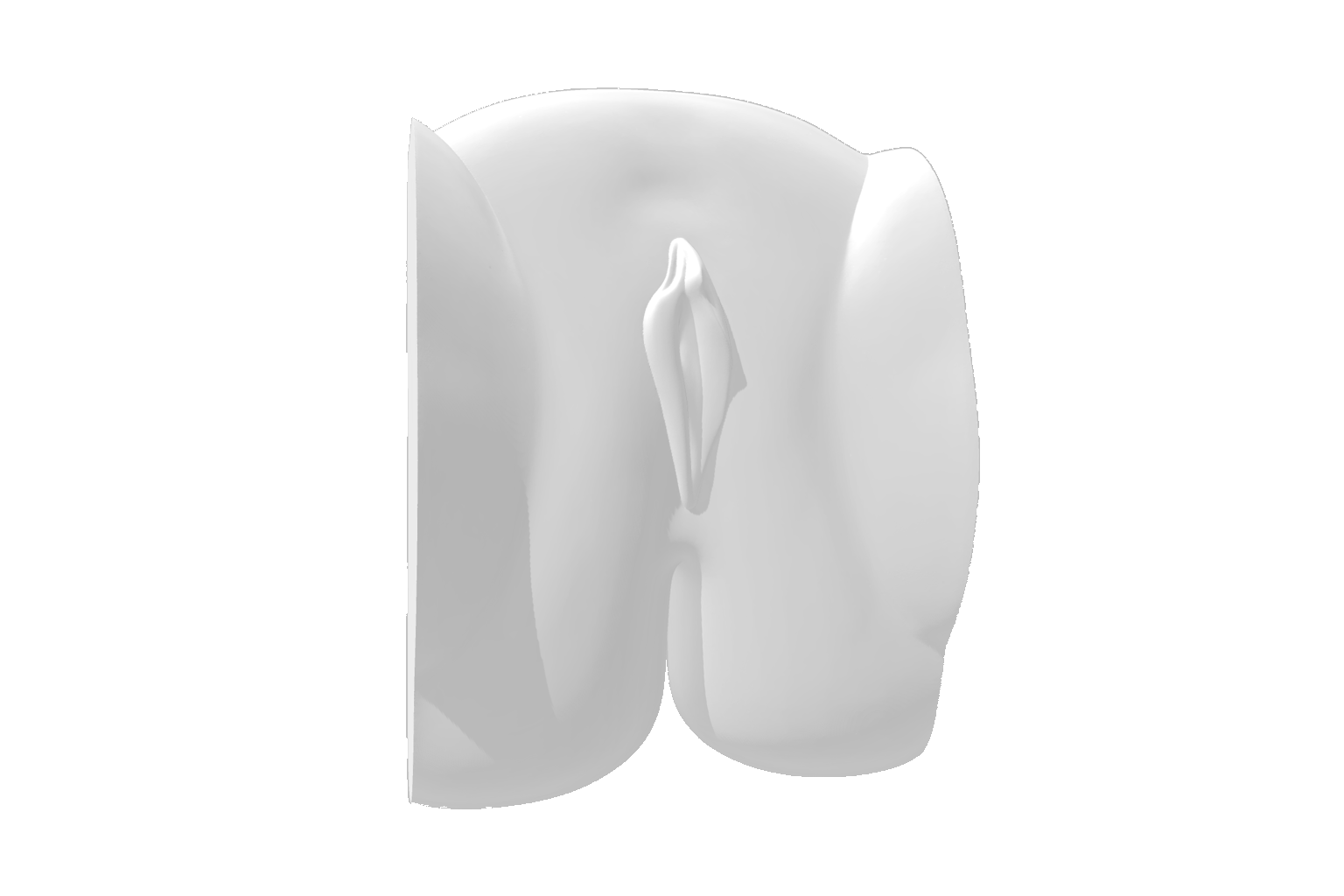 Vulva 3D Model Example